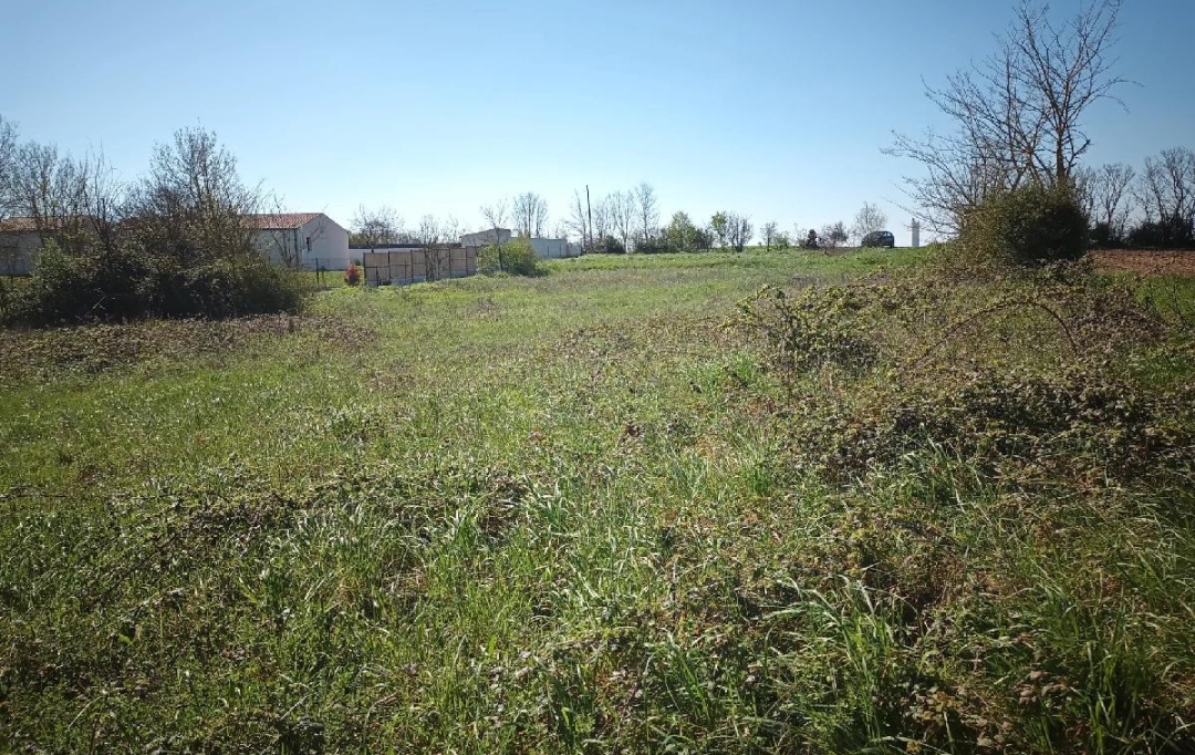 Annonces AIGREFEUILLE : Ground | LANDRAIS (17290) | 2 287 m2 | 182 000 € 